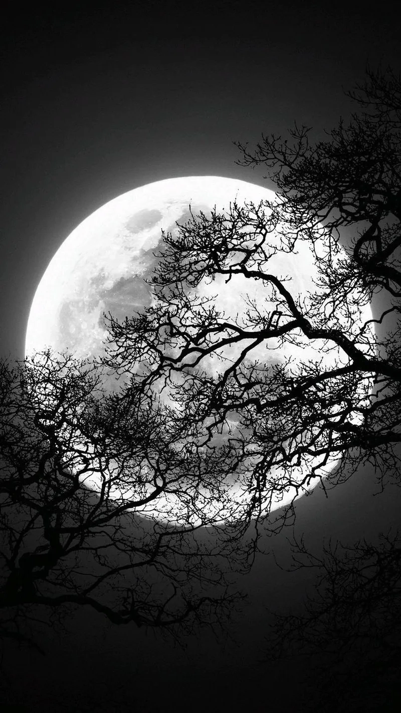 Hình nền iphone bị đen đẹp cuốn hút không thể rời mắt