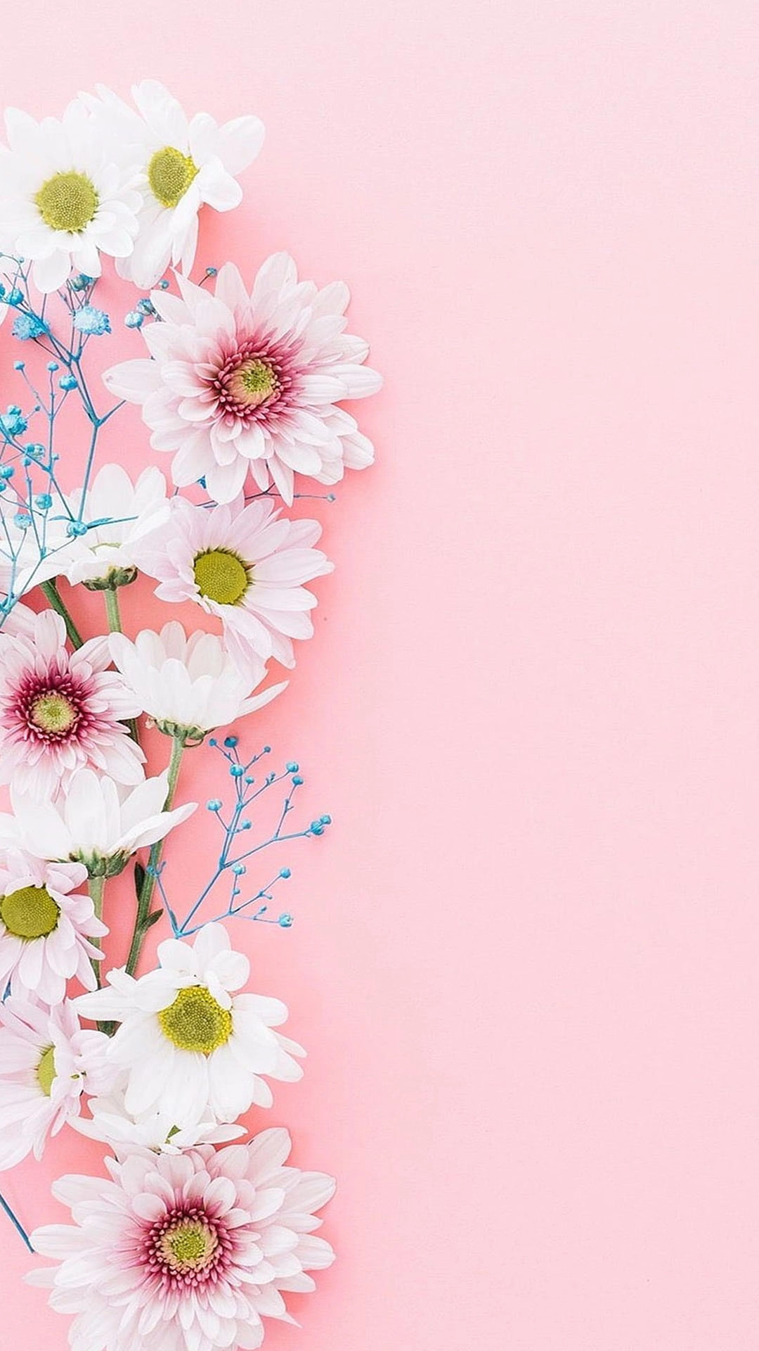 Ảnh hình nền đơn giản mang lại cảm giác dễ chịu