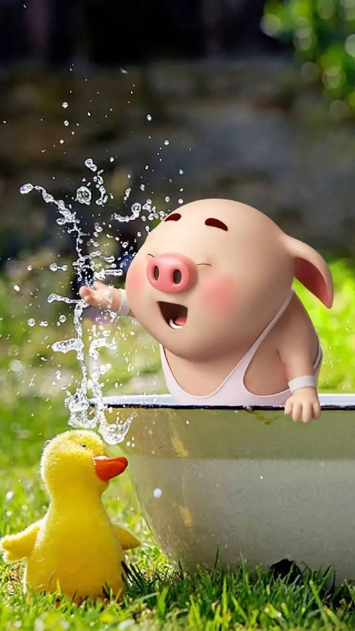 Hình ảnh con lợn cute mềm mại thu hút người xem