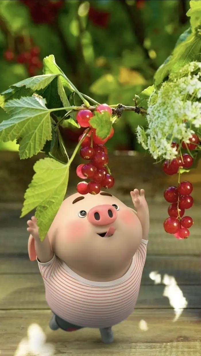 Ảnh con lợn cute tươi sáng nhẹ nhàng dễ thương