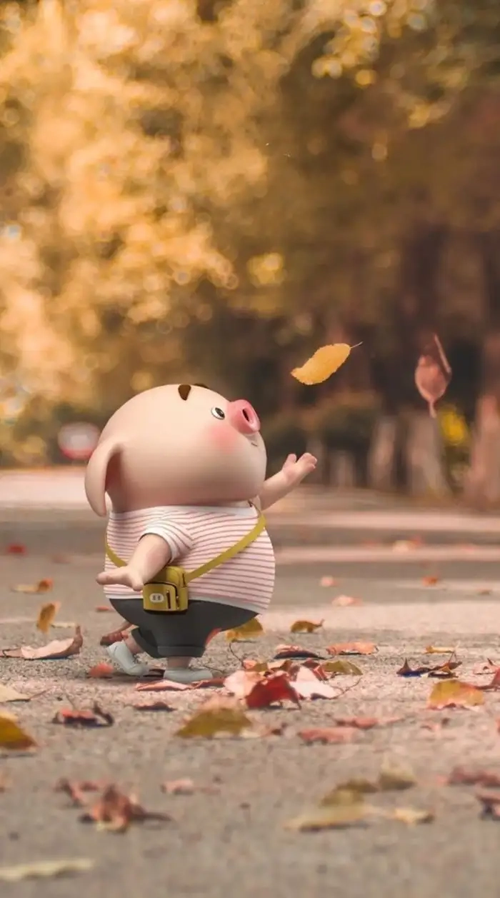 Hình con lợn cute dễ thương nổi bật ấm áp