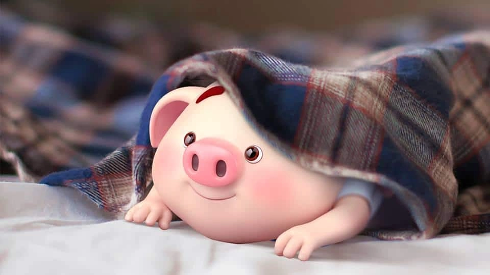 Con heo cute làm hình nền sinh động