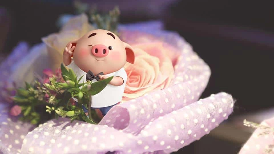 Hình nền con heo dễ thương ngọt ngào thu hút