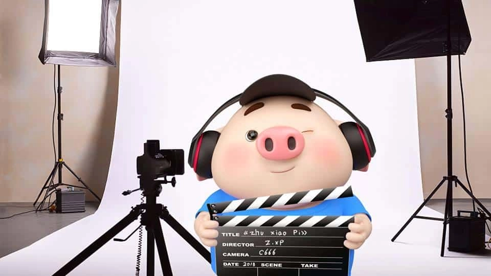 Hình nền heo dễ thương tươi sáng vui nhộn