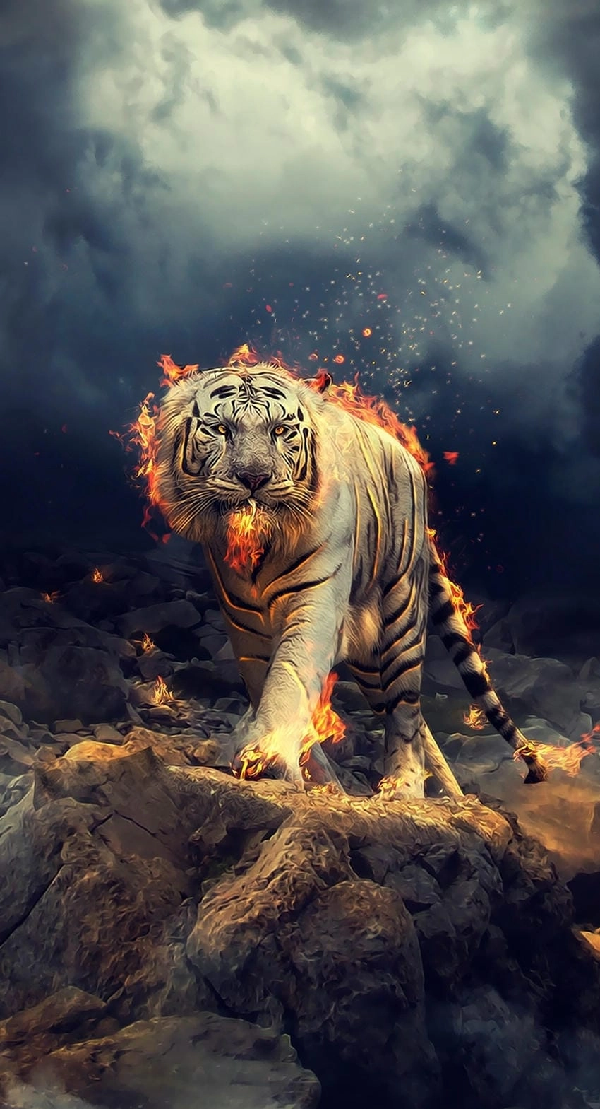 Ảnh nền con hổ đầy sức hút của rừng sâu