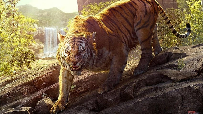 Hình nền đẹp hổ sắc nét và ấn tượng khó quên