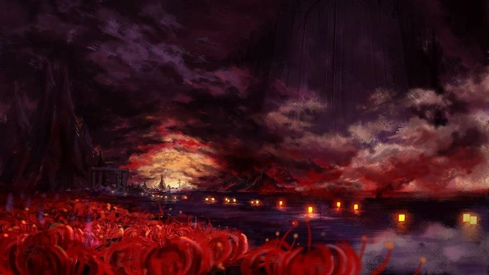 Hoa bỉ ngạn full hd lung linh từng cánh hoa