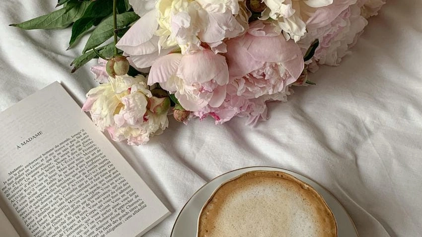 Hình nền hoa mẫu đơn trắng tinh tế