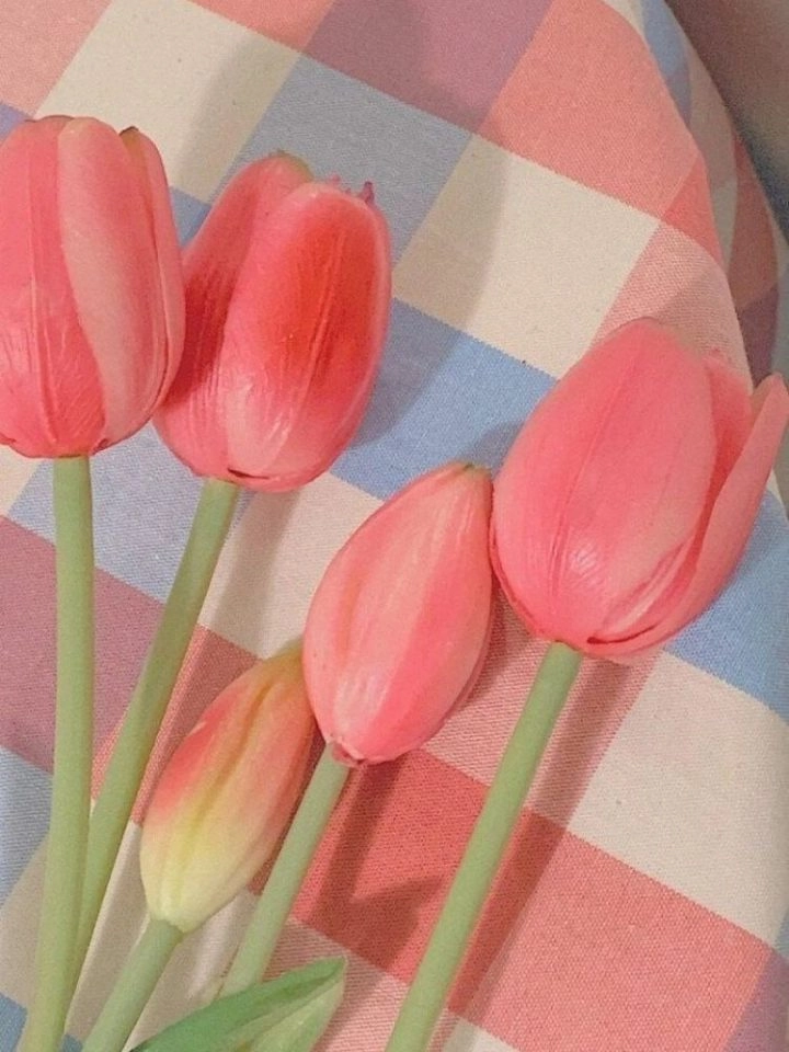 Hình nền hoa tulip tô điểm màn hình