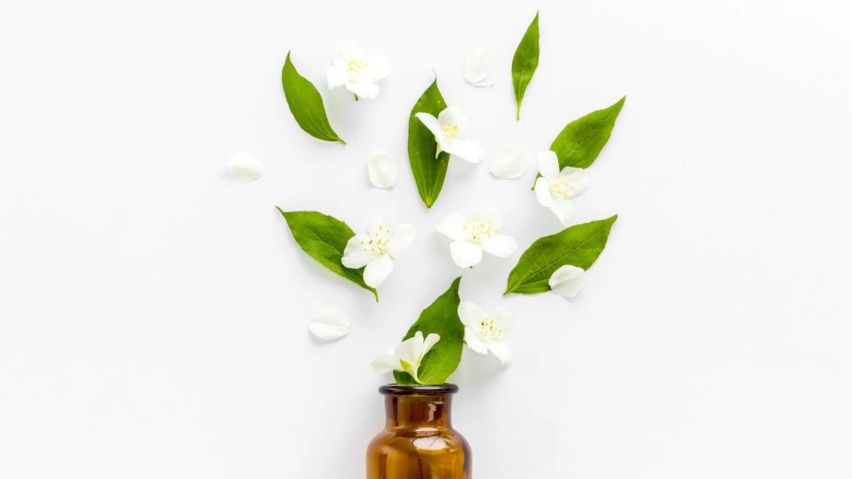 Hoa nhài làm hình nền thanh khiết