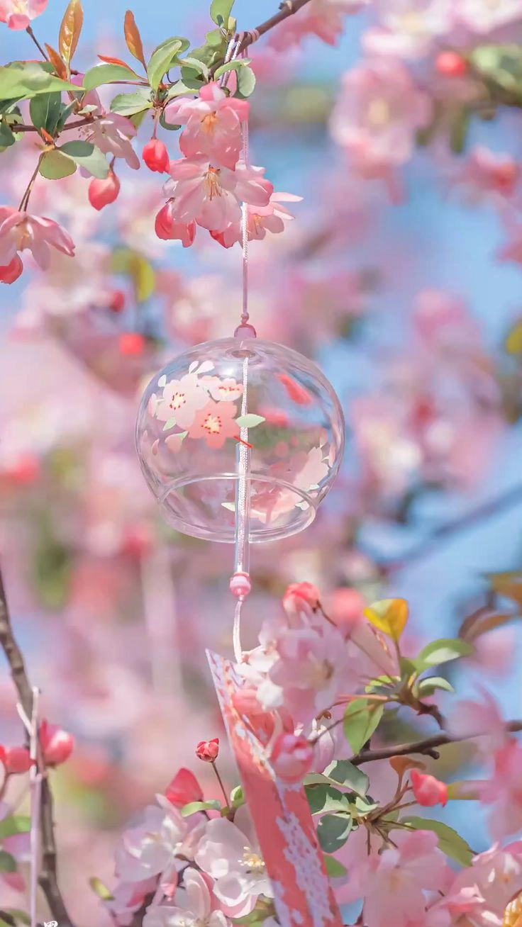 Hình nền màu hồng đậm nổi bật cá tính mạnh mẽ quyến rũ