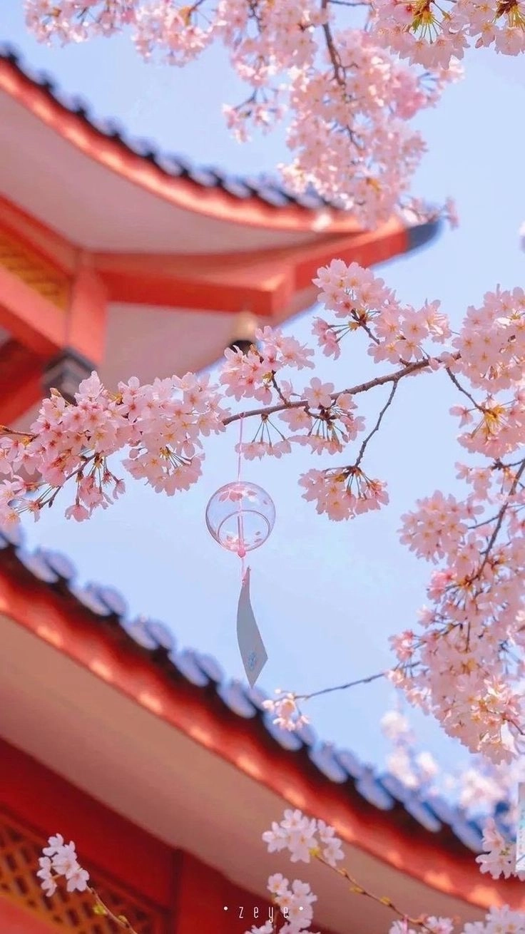 Hình nền màu hồng pastel tinh tế nhẹ nhàng thanh lịch