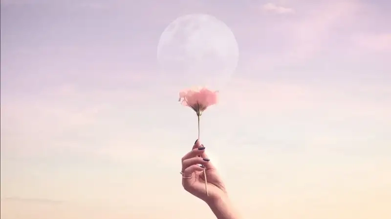 Hình nền màu hồng nhạt dịu dàng dễ thương ngọt ngào