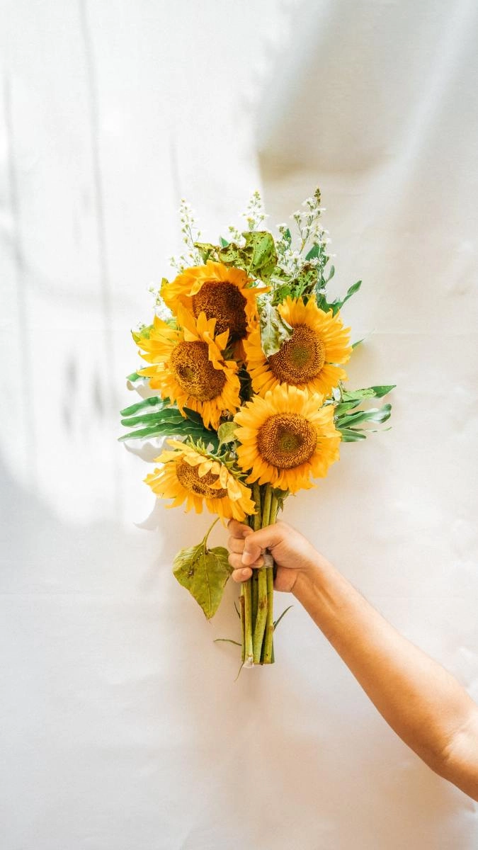 Hình nền hoa hướng dương cute dễ thương