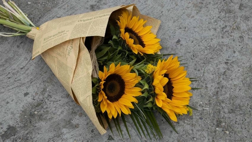 Ảnh hoa hương dương rực rỡ ánh nắng