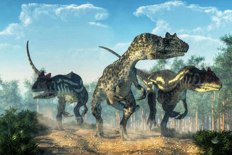 Hình nền khủng long cực chất cho mọi thiết bị