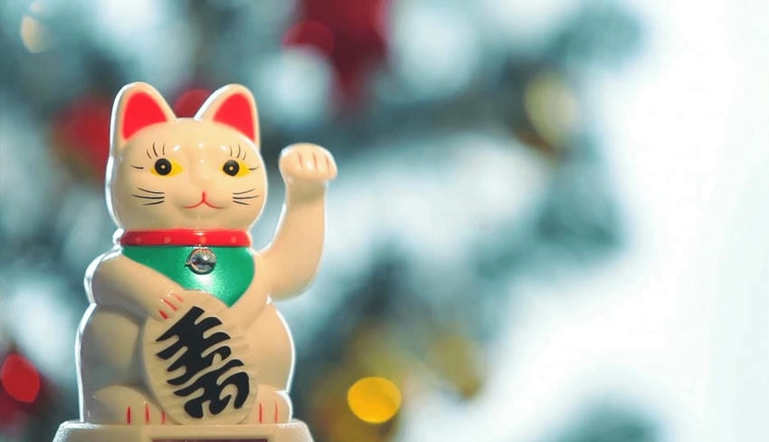 Hình nền mèo thần tài cho máy tính rực rỡ