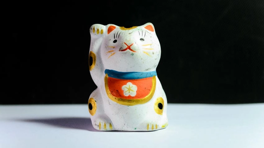 Hình nền mèo thần tài đẹp mê mẩn ánh nhìn