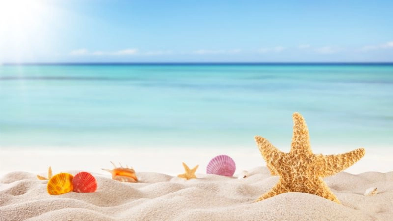 Hình nền trình chiếu powerpoint đẹp và chuyên nghiệp