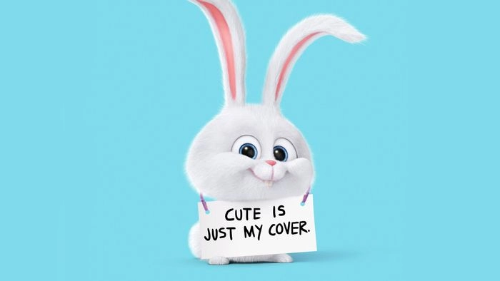 Hình nền thỏ đáng yêu cho màn hình thêm sinh động