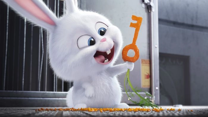 Thỏ hình nền ngộ nghĩnh đáng yêu cho desktop