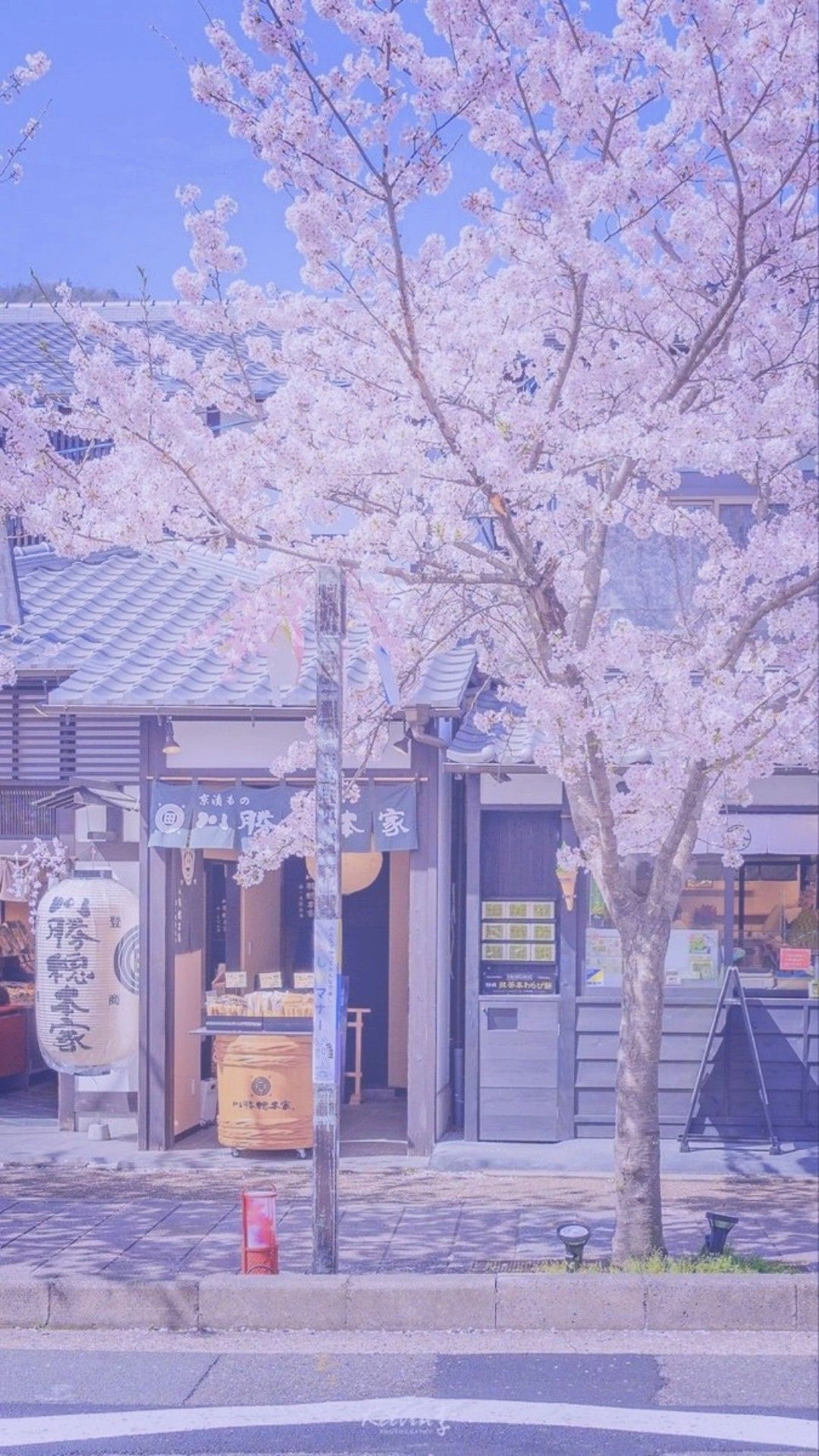 Hình nền iphone 11 màu tím sang trọng dịu nhẹ