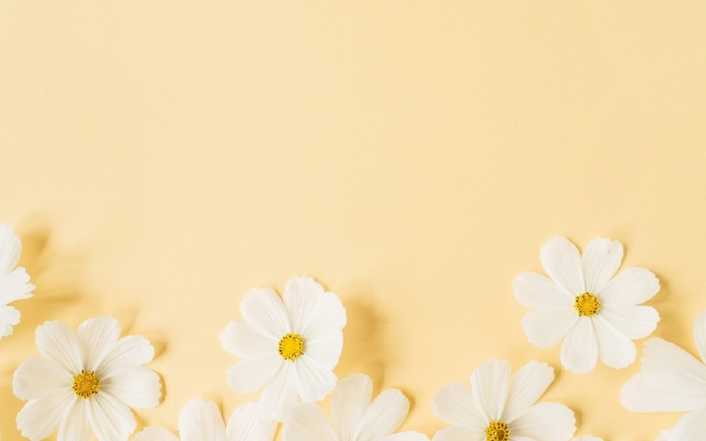 Hình nền pp màu vàng nổi bật giữa mọi slide thuyết trình