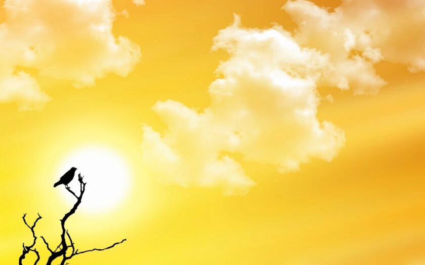 Hình nền 3D màu vàng tạo chiều sâu đầy ấn tượng