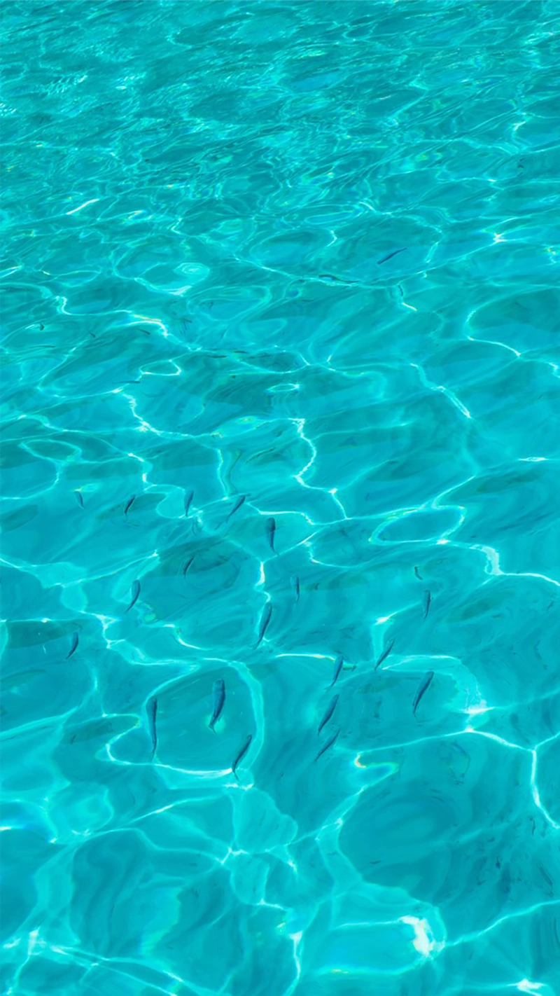 Hình nền cute màu xanh dương khiến lòng dịu lại