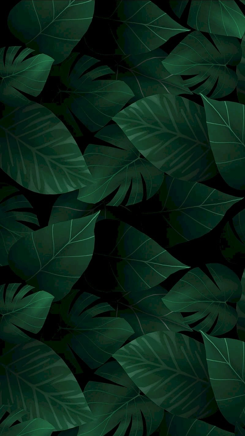 Hình nền màu xanh lá cây cho iPhone tinh tế