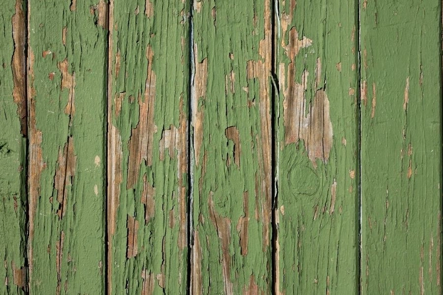 Hình nền powerpoint đơn giản màu xanh lá cây tươi sáng