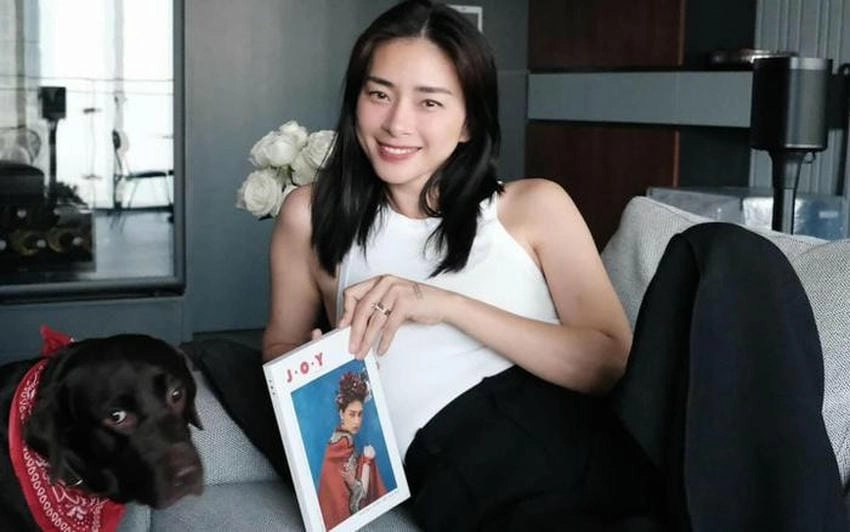 Ngô Thanh Vân profile hành trình đa tài từ Na Uy đến VN