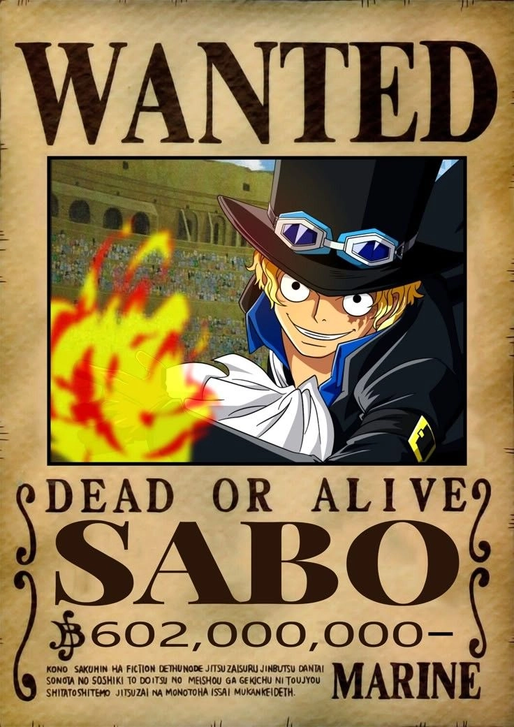 Truy nã Sabo sau vụ việc ở Reverie