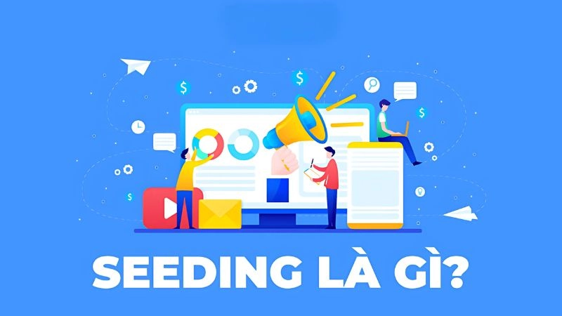 Seeding là gì luôn là câu hỏi đầu tiên khi bắt đầu làm marketing
