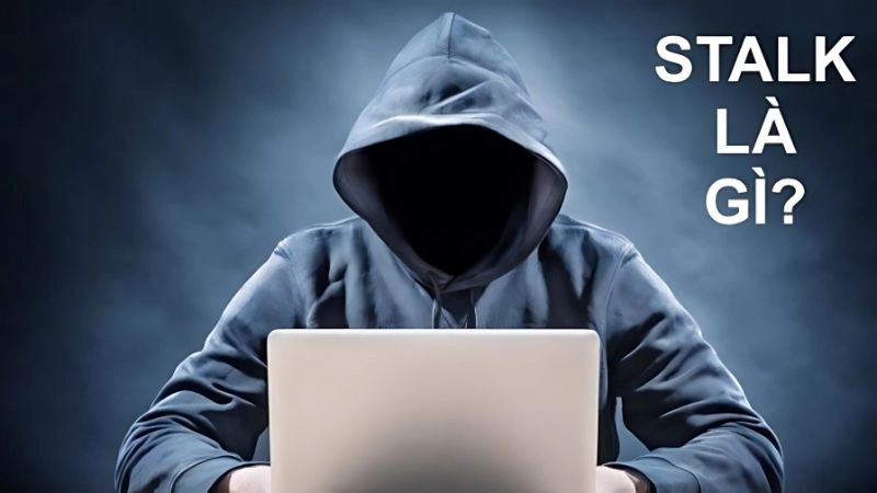 Stalk là gì mà giới trẻ hay dùng trên mạng xã hội mỗi ngày