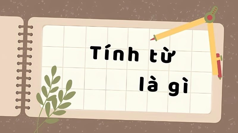 Danh từ động từ tính từ là gì là câu hỏi cơ bản trong ngữ pháp tiếng Việt