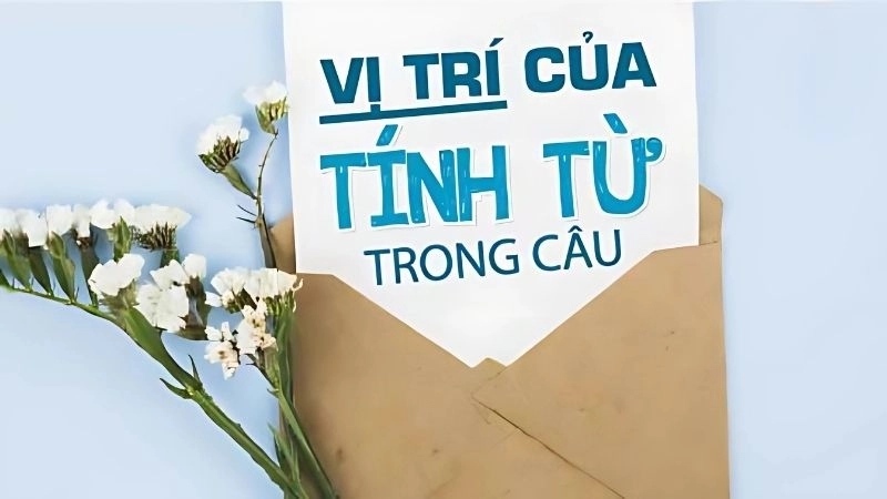 Tính từ là gì tiếng Anh giúp học sinh hiểu vai trò của adjective trong câu