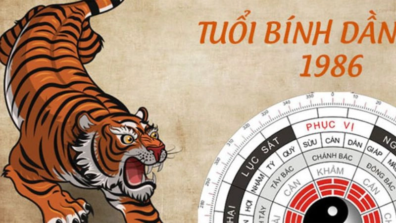 Người sinh năm 1986 mệnh gì mang cá tính mạnh và luôn quyết đoán