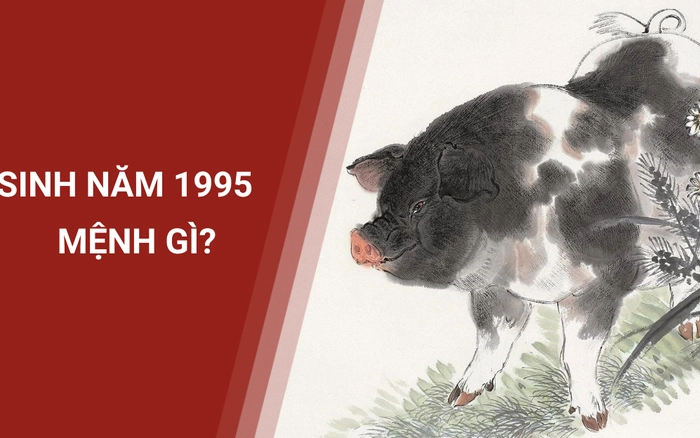 1. Người sinh năm 1995 mệnh gìKhám phá ngay bí ẩn về người sinh năm 1995 mệnh gì