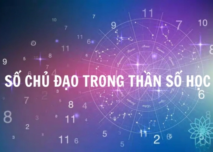 Số chủ đạo trong Thần số học là gì hé lộ bí mật bản thân bạn
