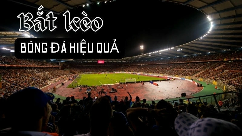  Minh họa kèo 0.5 trên nhận định kèo bóng đá, dễ hiểu cho người mới.