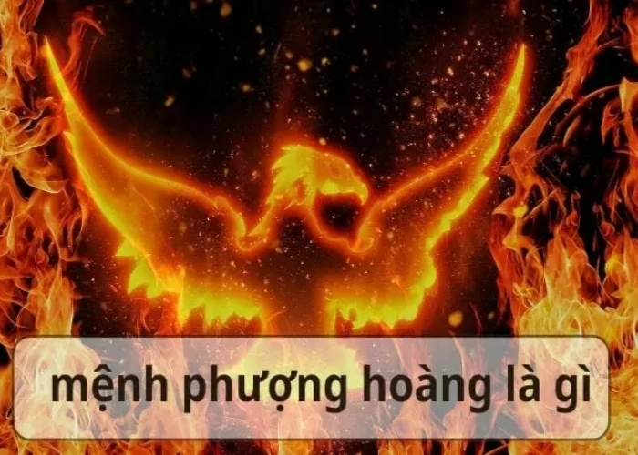Khám phá mệnh Phượng Hoàng là gì đầy cuốn hút và bí ẩn