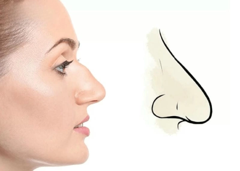 Khám phá mũi diều hâu tướng số nói lên điều gì về tính cách con người