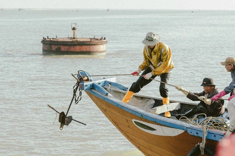 Tìm hiểu kỹ hơn về giải mã hiện tượng mơ thấy bắt cá