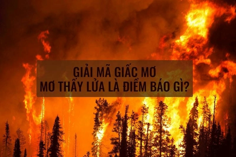 Khám phá mơ thấy lửa cháy là điềm gì mang ý nghĩa sâu sắc