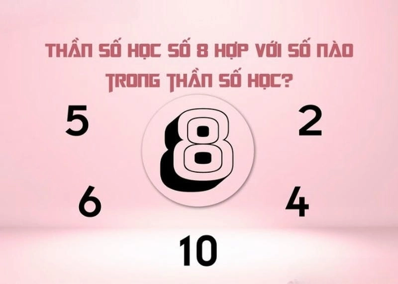 Cùng tìm hiểu số chủ đạo 8 hợp với số nào trong hôn nhân và sự nghiệp