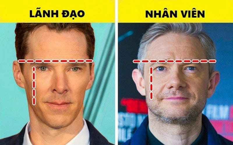 Khám phá tướng người có số lãnh đạo thường có đặc điểm gì