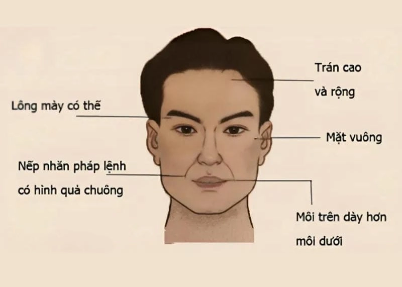 Khám phá đặc điểm khuôn mặt của người có số phú quý