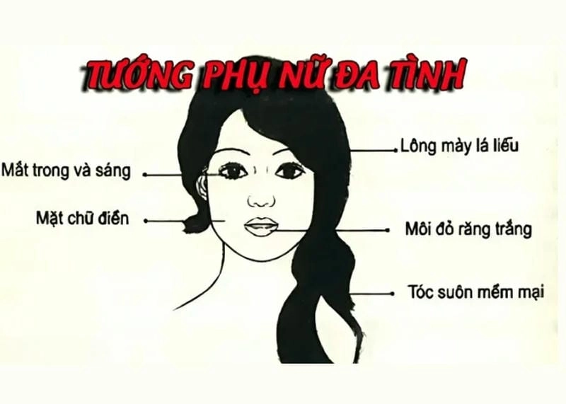 Khám phá đặc điểm khuôn mặt của người đa tình