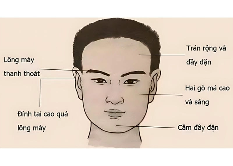 Khám phá tướng người hiền lành qua khuôn mặt có đặc điểm gì